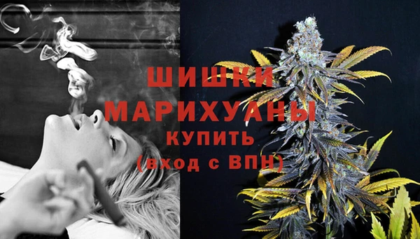 дурь Новозыбков