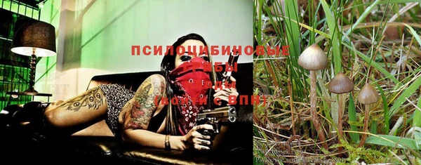 мет Новодвинск