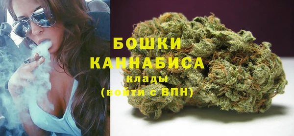 дурь Новозыбков