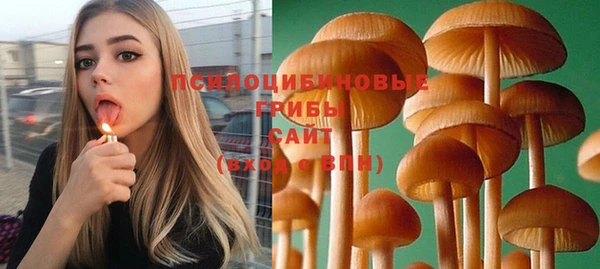 меф Новокубанск