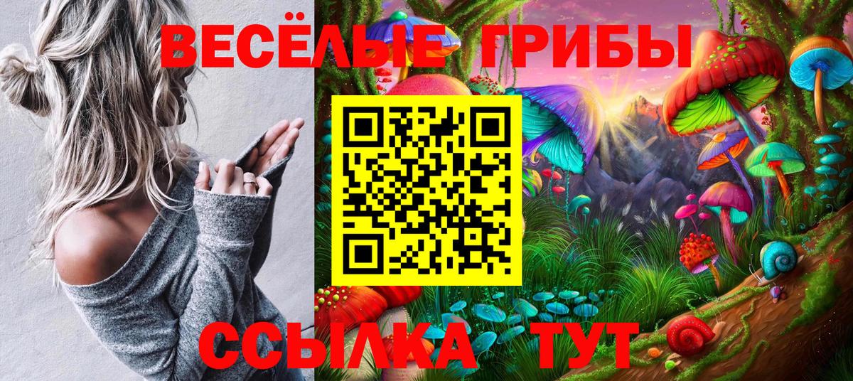 Южноуральск  Псилоцибиновые грибы мицелий  продажа наркотиков  Вход с VPN 